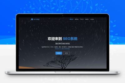 2025年最新SEO站群系统源码 SEO优化系统 单页关键词排名网站源码