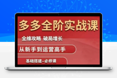 拼多多全阶实战课程，全维攻略，破局增长，从新手到运营高手