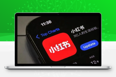 美国小红书与TikTok全流程出海实操：账号注册、银行开户、税务与货款回国全攻略