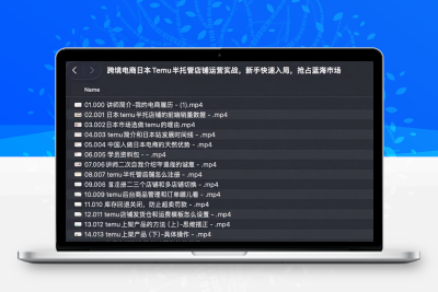 跨境电商日本Temu半托管店铺运营实战，新手快速入局，抢占蓝海市场