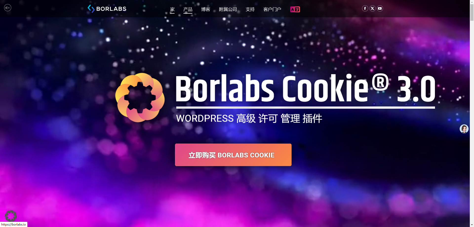 Borlabs Cookie v3.3.22 – GDPR 和电子隐私 WordPress Cookie 选择加入解决方案