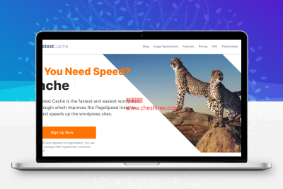 WordPress缓存插件–WP Fastest Cache Pro v1.7.5 破解版下载