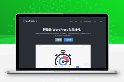 Perfmatters v2.5.5 – 轻量级性能插件