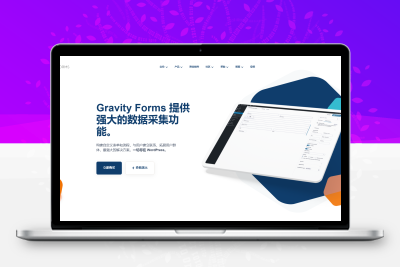 Gravity Forms v2.9.24