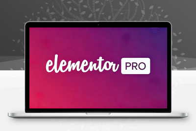 Elementor Pro v3.33.2 – 最先进的网站构建器插件-已破解