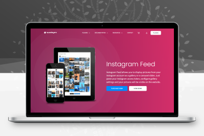 Instagram Feed Pro v4.4.4-wordpress插件