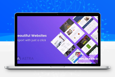 Astra Premium 入门模板  专业版 v4.4.43