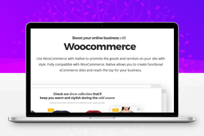 Native v1.7.11 – 时尚多用途创意 WordPress 主题