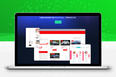 Divi Ajax 过滤器 v4.0.11-wordpress插件
