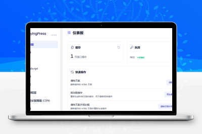 WordPress优化加速插件–FlyingPress v5.2.3 破解版