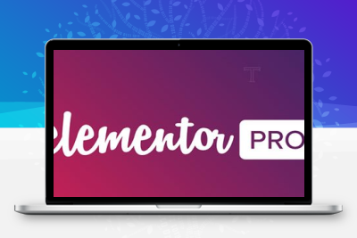 Elementor Pro v3.34.0 – 最先进的网站构建器插件（已破解）