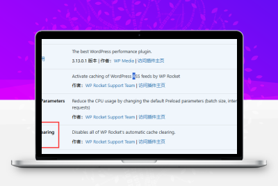 WP Rocket –禁止自动清除缓存插件 Disable Cache Clearing