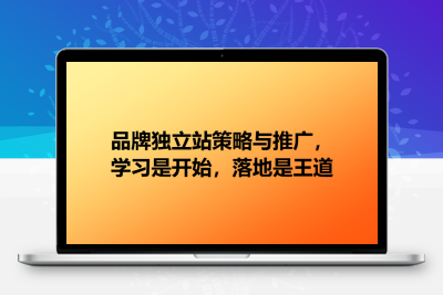 品牌独立站策略与推广，学习是开始，落地是王道
