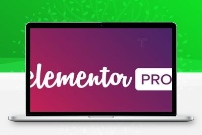 Elementor Pro v4.0.0 – 最先进的网站构建器插件（已破解）