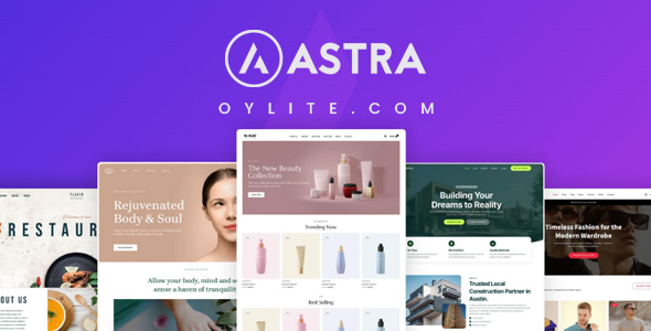 Astra Pro – Astra WordPress 主题插件 4.13.1