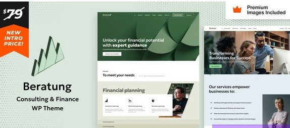 Beratung v25 – 咨询与金融 WordPress