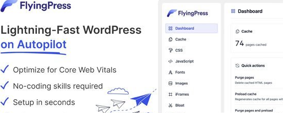 FlyingPress 5.4.5 – 闪电般快速的 WordPress 自动运行