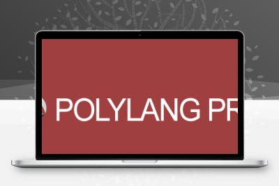 Polylang Pro v3.8.2 – 多语言插件