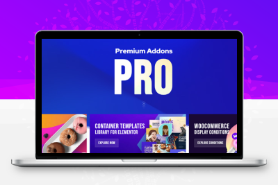 Elementor 2.9.58 高级插件专业版