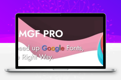 OMGF Pro v5.2.0 – 为 WordPress 本地托管 Google Fonts