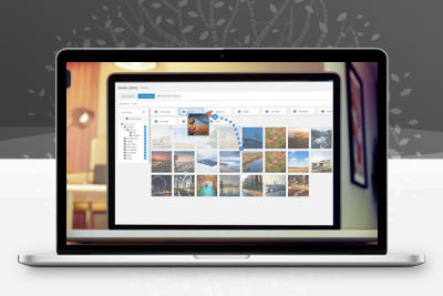 WP Media Folder v6.2.1 + 插件