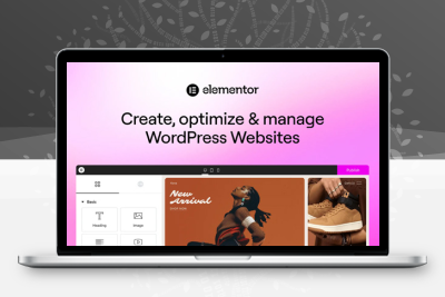 Elementor Pro – WordPress 页面构建器插件 4.0.2