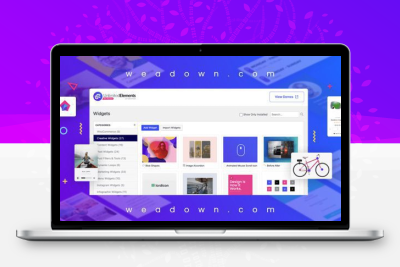 Elementor Premium 2.0.7 的无限元素