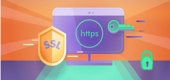 Really Simple SSL Pro v9.5.11破解版