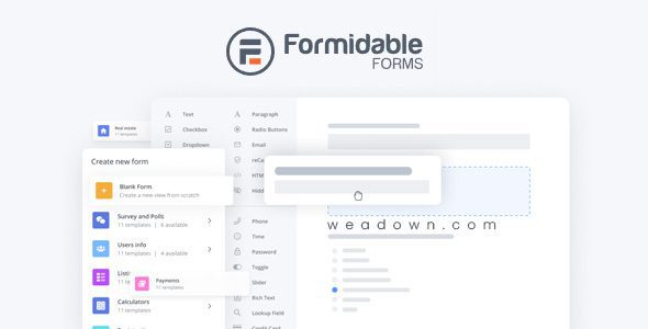 Formidable Forms Pro 6.30.1 – WordPress 表单插件和表单构建器