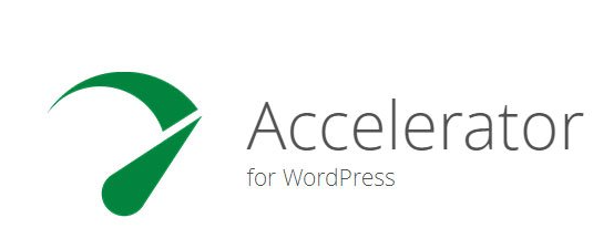 Seraphinite Accelerator v2.29.10