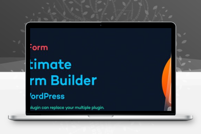 Bit Form Pro v3.0.0 – WordPress 中的终极表单构建器