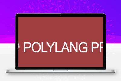 Polylang Pro v3.8.4 – 多语言插件