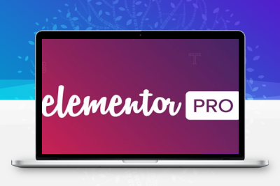 Elementor Pro v4.1.0 – 最先进的网站构建器插件（已破解）