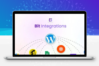 Bit Integrations Pro v2.7.4 – WordPress 集成插件