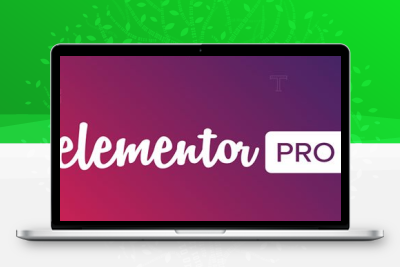 Elementor Pro v4.1.1 – 最先进的网站构建器插件