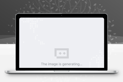 Vedoo – 房地产 WordPress 主题